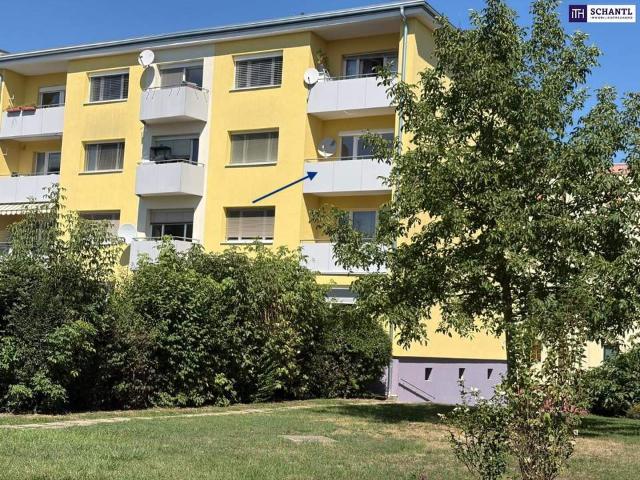 Immobilie kaufen in Andritz, Gersdorf-Feistritz