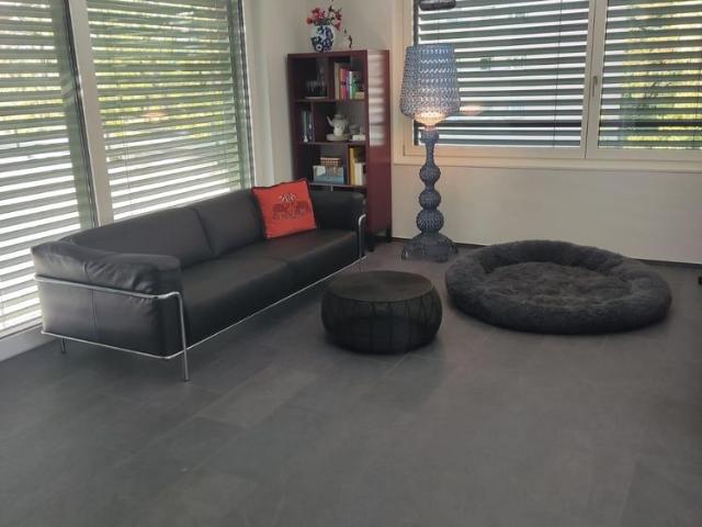 Apartment mieten in Scheibenschachen, Aarau