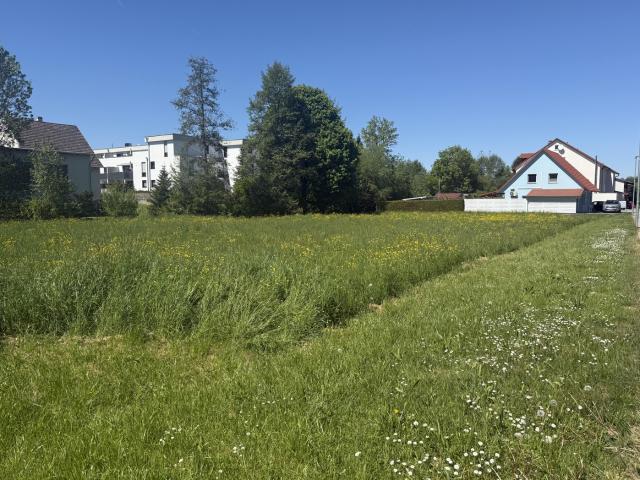 Erdgeschosswohnung kaufen in Angelbachtal, Baden-Württemberg