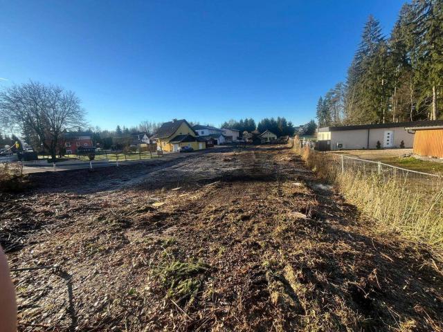 Immobilie kaufen in Bürmoos, Salzburg