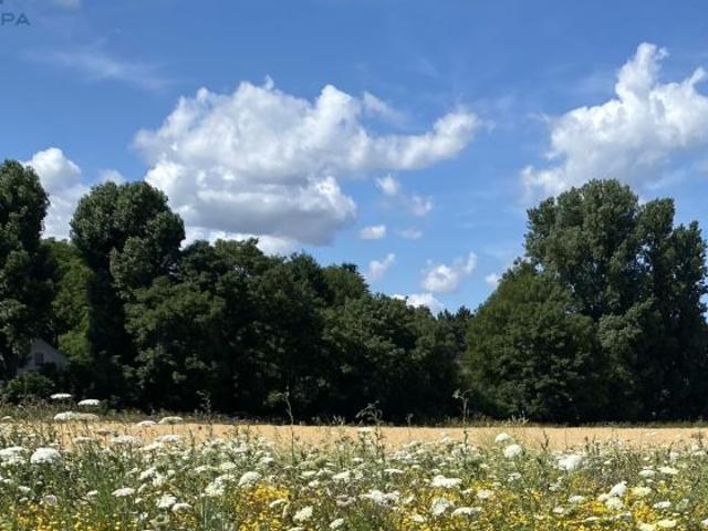 Haus kaufen in Frechen, Nordrhein-Westfalen