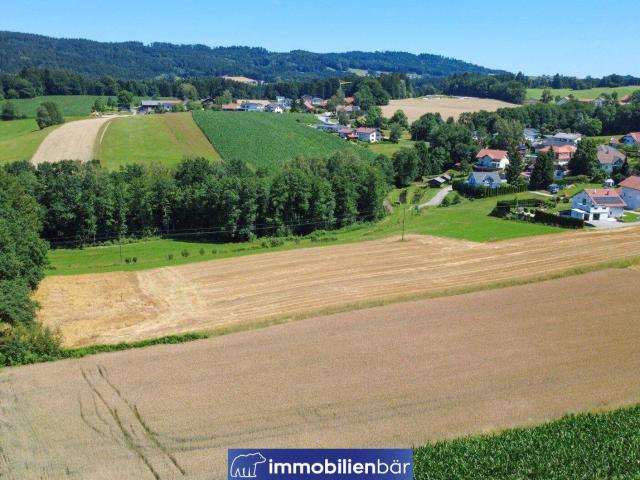 Immobilie kaufen in Kopfing im Innkreis, Oberösterreich