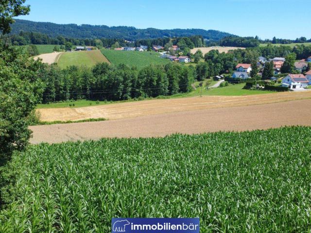 Immobilie kaufen in Kopfing im Innkreis, Oberösterreich