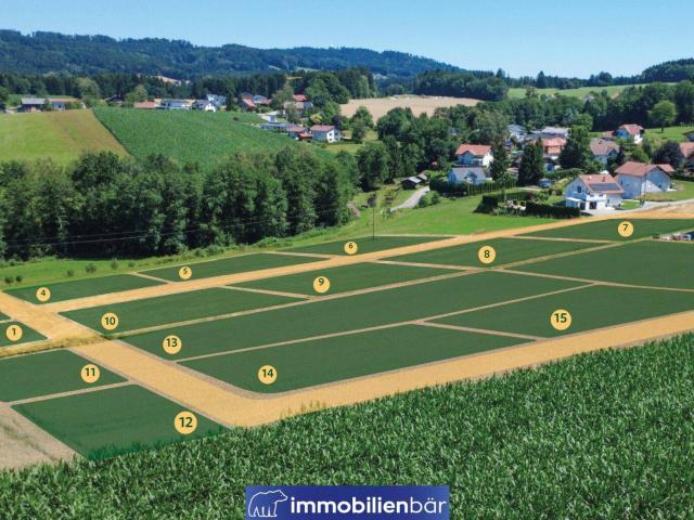 Immobilie kaufen in Kopfing im Innkreis, Oberösterreich