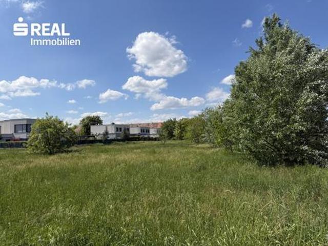 Grundstück kaufen in Neusiedl am See, Burgenland