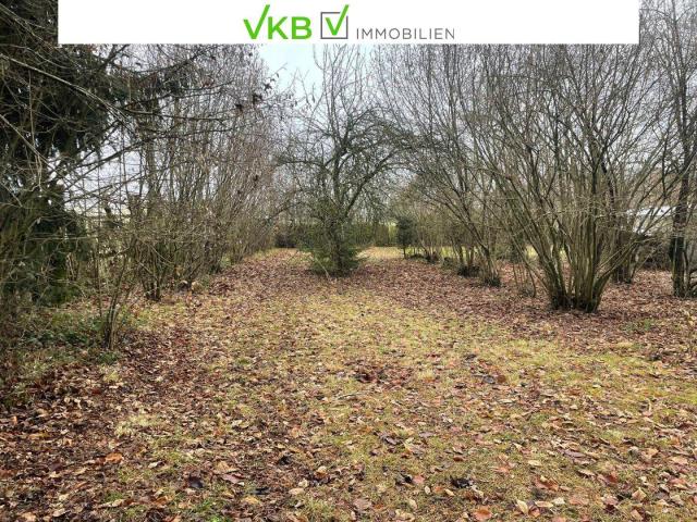 Immobilie kaufen in Alberndorf in der Riedmark, Oberösterreich