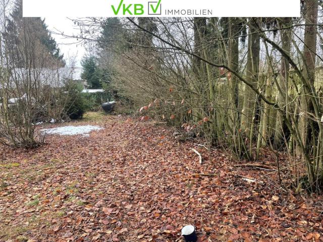 Grundstück kaufen in Alberndorf in der Riedmark, Oberösterreich