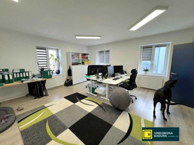 Büro kaufen in Traiskirchen, Niederösterreich