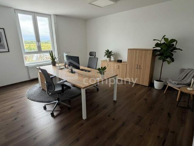 Gewerbe mieten in Baden, Niederösterreich