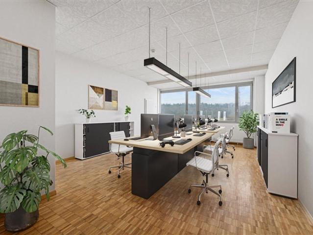 Büro mieten in Böttstein, Aargau