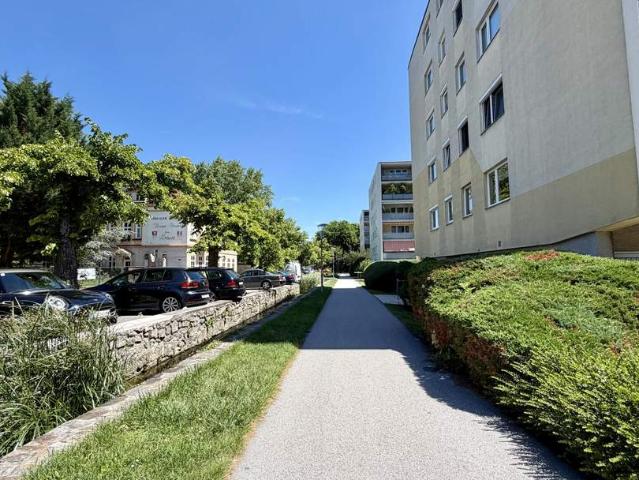 Wohnung kaufen in Baden, Niederösterreich