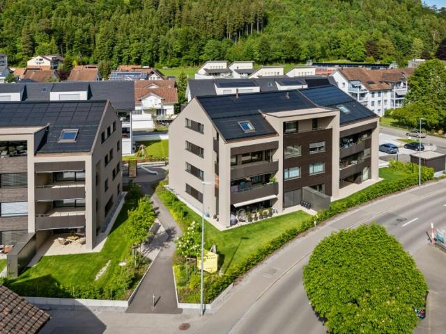 Wohnung kaufen in Fischingen, Thurgau