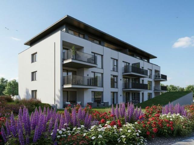 Wohnung kaufen in Niederbipp, Bern