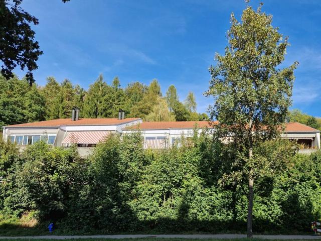 Wohnung kaufen in Illnau, Illnau-Effretikon
