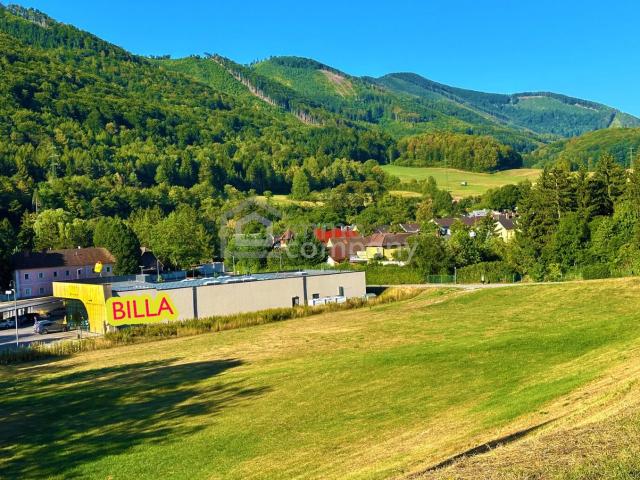 Haus kaufen in Katastralgemeinde Thenneberg, Altenmarkt an der Triesting