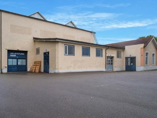 Büro mieten in Neftenbach, Zürich