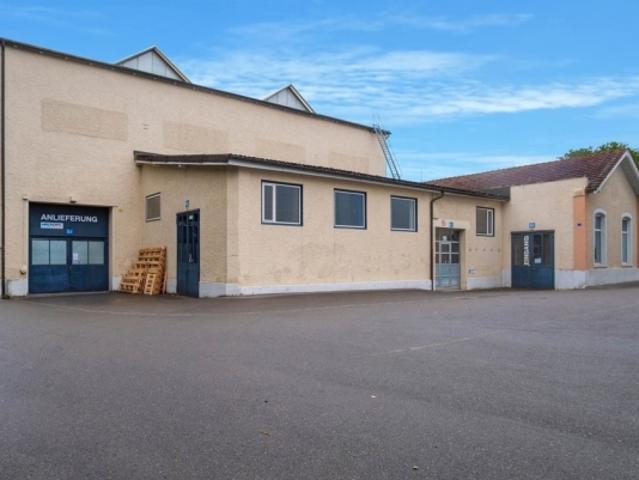 Büro mieten in Neftenbach, Zürich