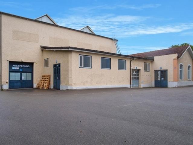 Büro mieten in Neftenbach, Zürich