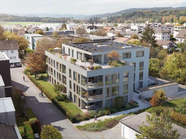 Immobilie kaufen in Fislisbach, Aargau