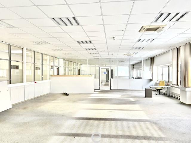 Gewerbe mieten in Wiener Neudorf, Niederösterreich