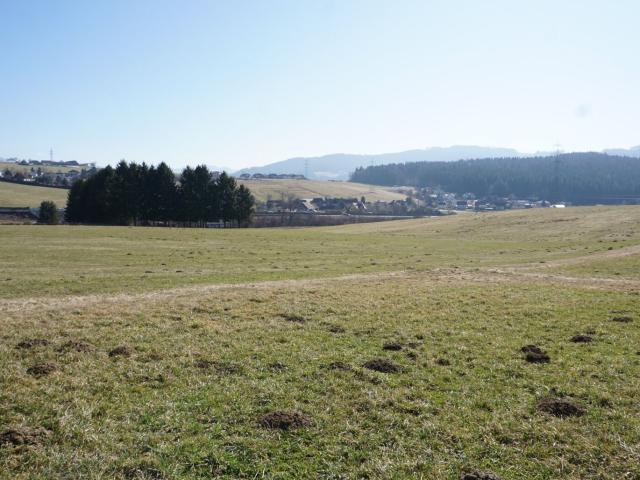 Grundstück kaufen in Gai, Steiermark