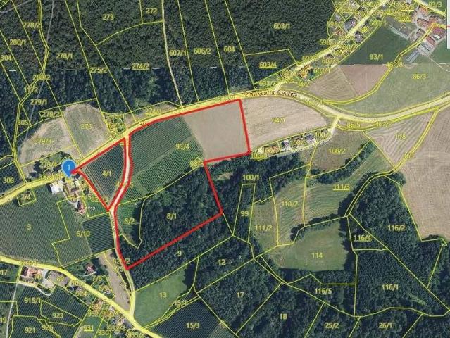 Gewerbe kaufen in Weiz, Steiermark