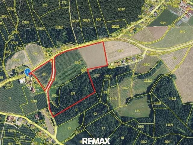 Landwirtschaft kaufen in St. Ruprecht an der Raab, Steiermark