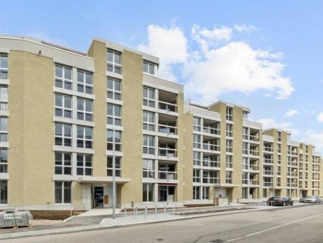 Apartment mieten in Birchlen, Dübendorf