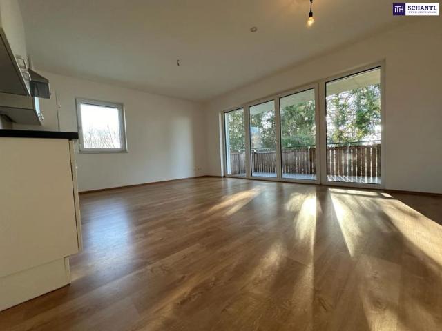 Apartment mieten in Steiermark