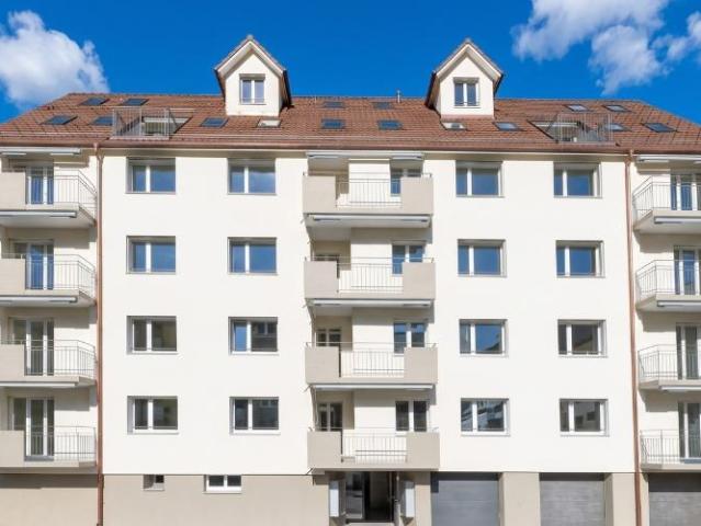 Apartment mieten in Vogelsang, Arth