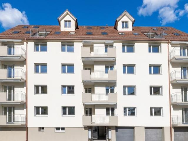 Apartment mieten in Vogelsang, Arth