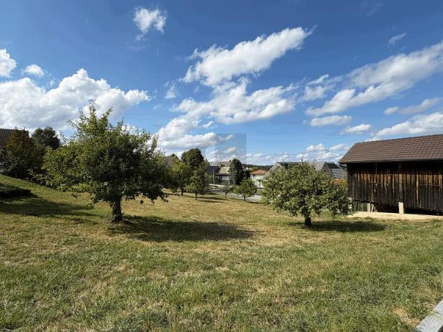 Immobilie kaufen in Lampenberg, Basel-Landschaft