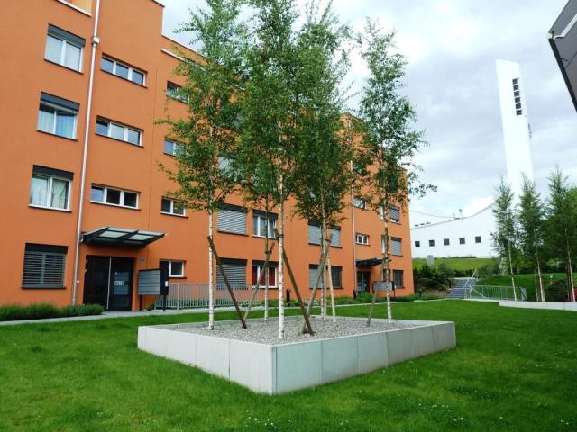Apartment mieten in Schwarzenbach (SG), St. Gallen