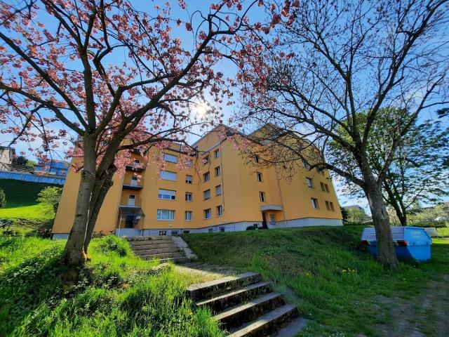 Apartment mieten in Ermatingen, Thurgau