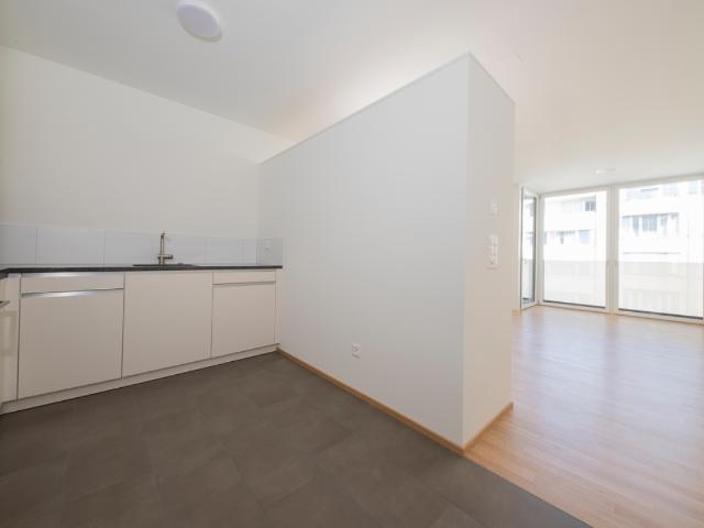 Apartment mieten in Kleinbasel, Basel