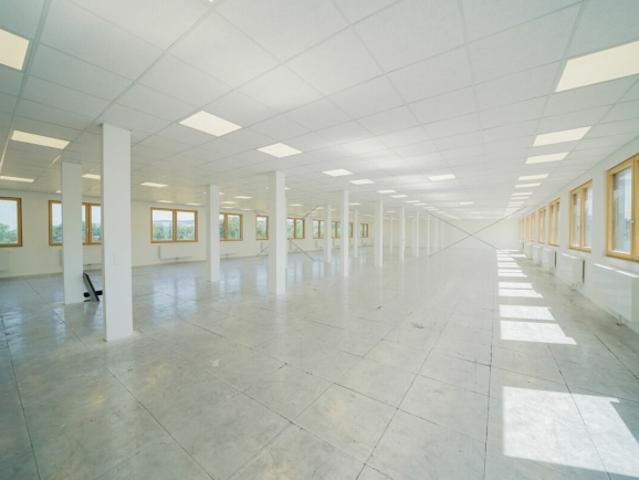 Büro mieten in Lü
