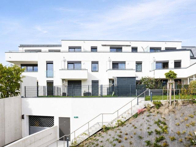 Apartment kaufen in Wolkersdorf im Weinviertel, Niederösterreich