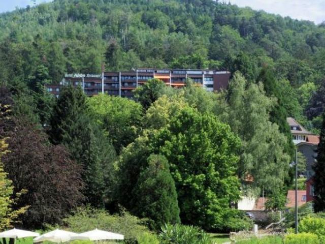 Wohnung kaufen in Bad Herrenalb, Baden-Württemberg