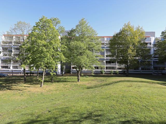 Apartment mieten in Westhagen, Wolfsburg