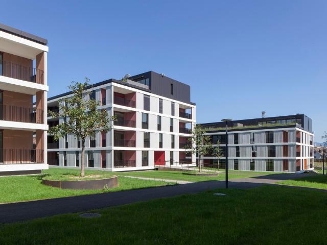 Apartment mieten in Egg, Zürich