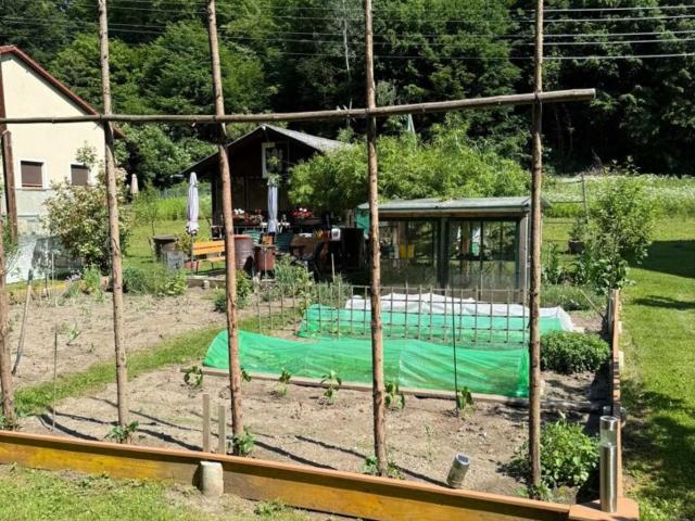 Grundstück kaufen in Voitsberg, Steiermark
