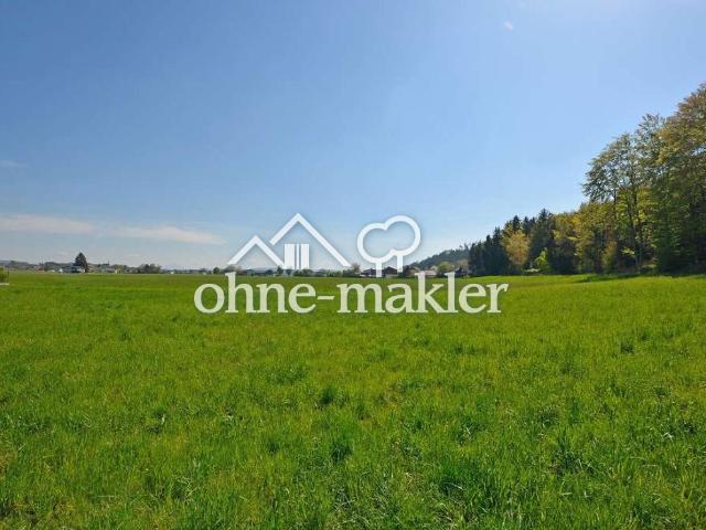 Immobilie kaufen in Sollern, Pfaffstätt