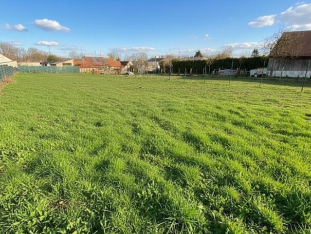 Grundstück kaufen in Potzneusiedl, Burgenland