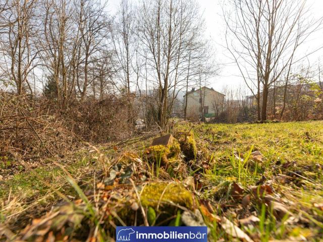 Immobilie kaufen in Holzheim, Leonding