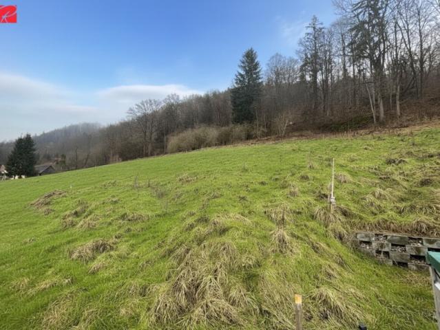 Grundstück kaufen in Stattegg, Bezirk Graz-Umgebung