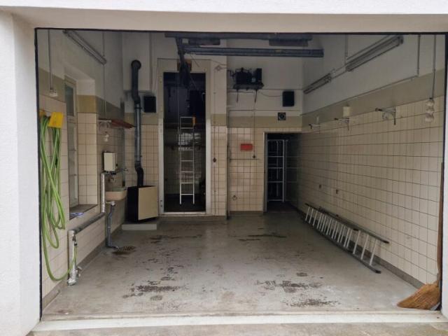 Garage mieten in Laupen (ZH), Zürich