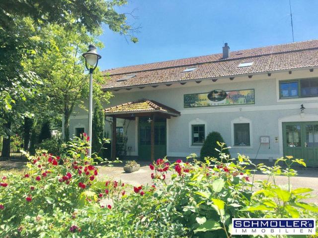 Haus kaufen in Gunskirchen, Oberösterreich