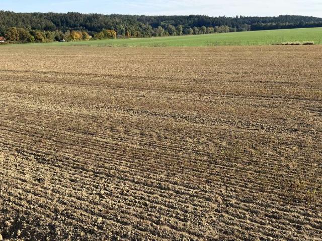 Erdgeschosswohnung kaufen in Pleiskirchen, Landkreis Altötting