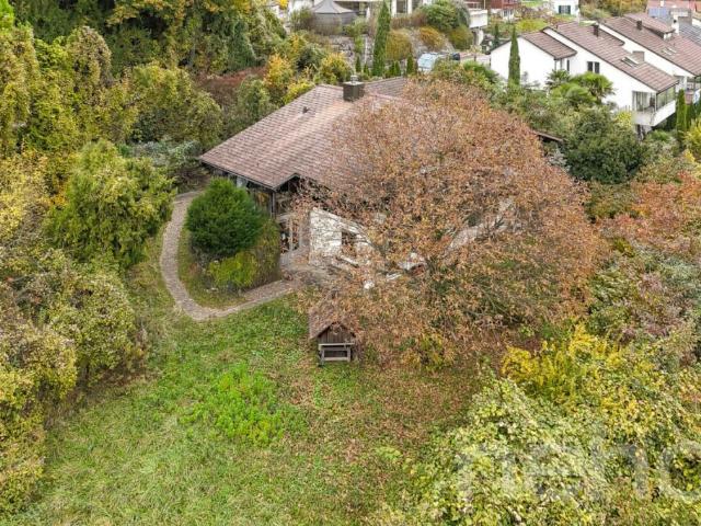 Immobilie kaufen in Brugg (AG), Aargau