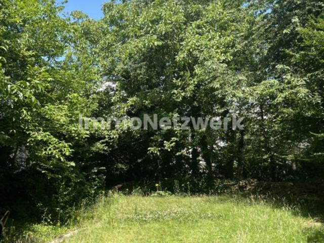 Erdgeschosswohnung kaufen in Köln, Nordrhein-Westfalen